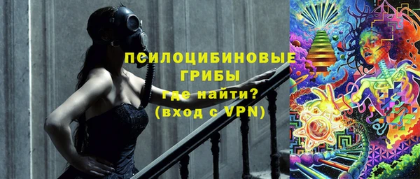 прущая мука Елабуга