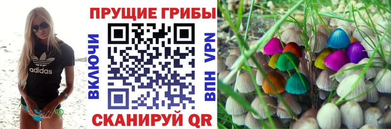 это Telegram  Арзамас  Галлюциногенные грибы ЛСД 